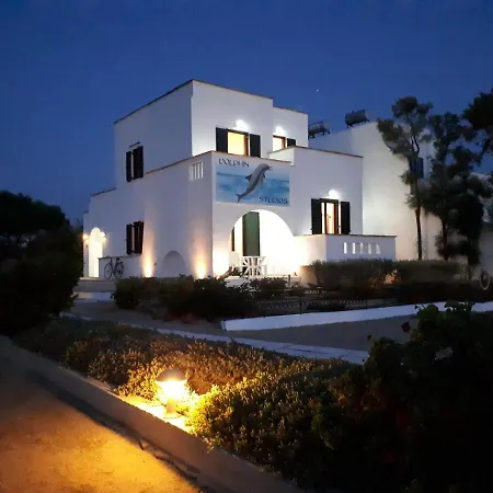 Dolphin * Agia Anna (Naxos)