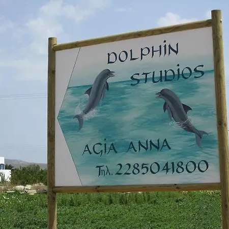 Dolphin