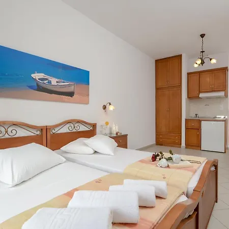 Dolphin Agia Anna (Naxos)