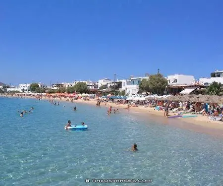 Dolphin * Agia Anna (Naxos)