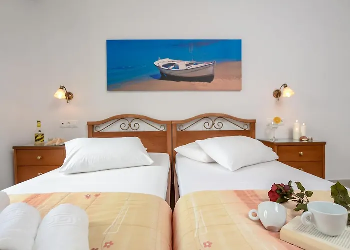 Dolphin * Αγία Άννα