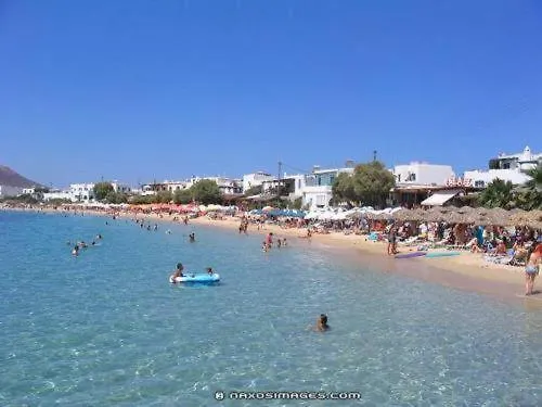 Dolphin * Αγία Άννα